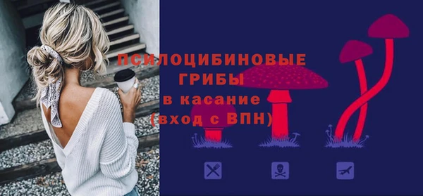 дмт Аркадак