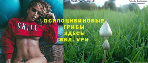 мескалин Баксан