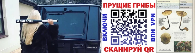 Галлюциногенные грибы GOLDEN TEACHER  Светлый 